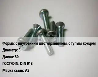 Винт с внутренним шестигранником, с тупым концом 5х30 DIN 913 Сталь: А2